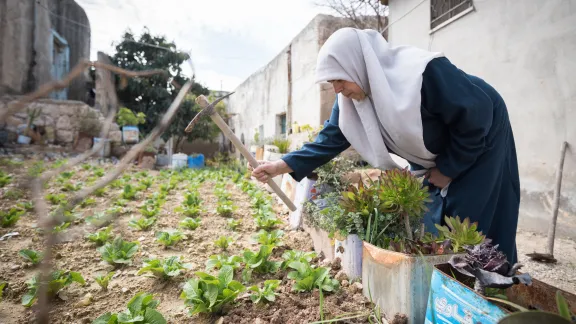 Woman in Jordan gardening