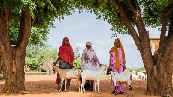 Three women in Ethiopia posing with their sheep