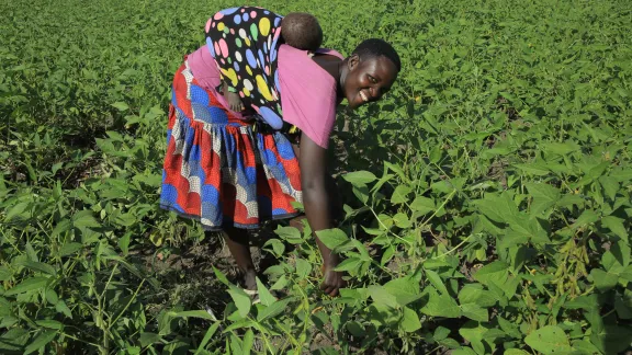 A woman in Uganda carrying a baby on her back, working in a field